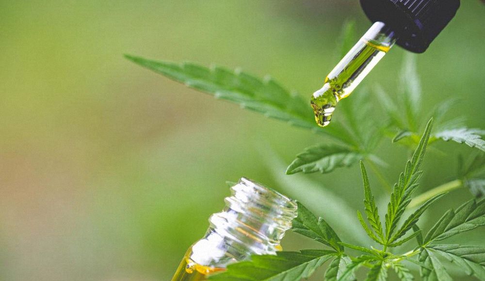 CBD edible oil