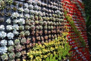 vertical wall garden