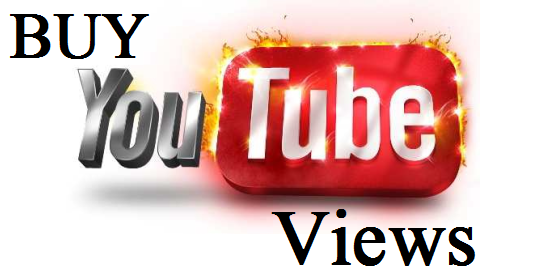 YouTube Views and Subscribers