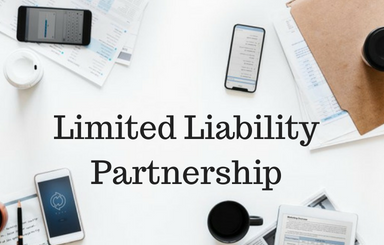 Liability Company