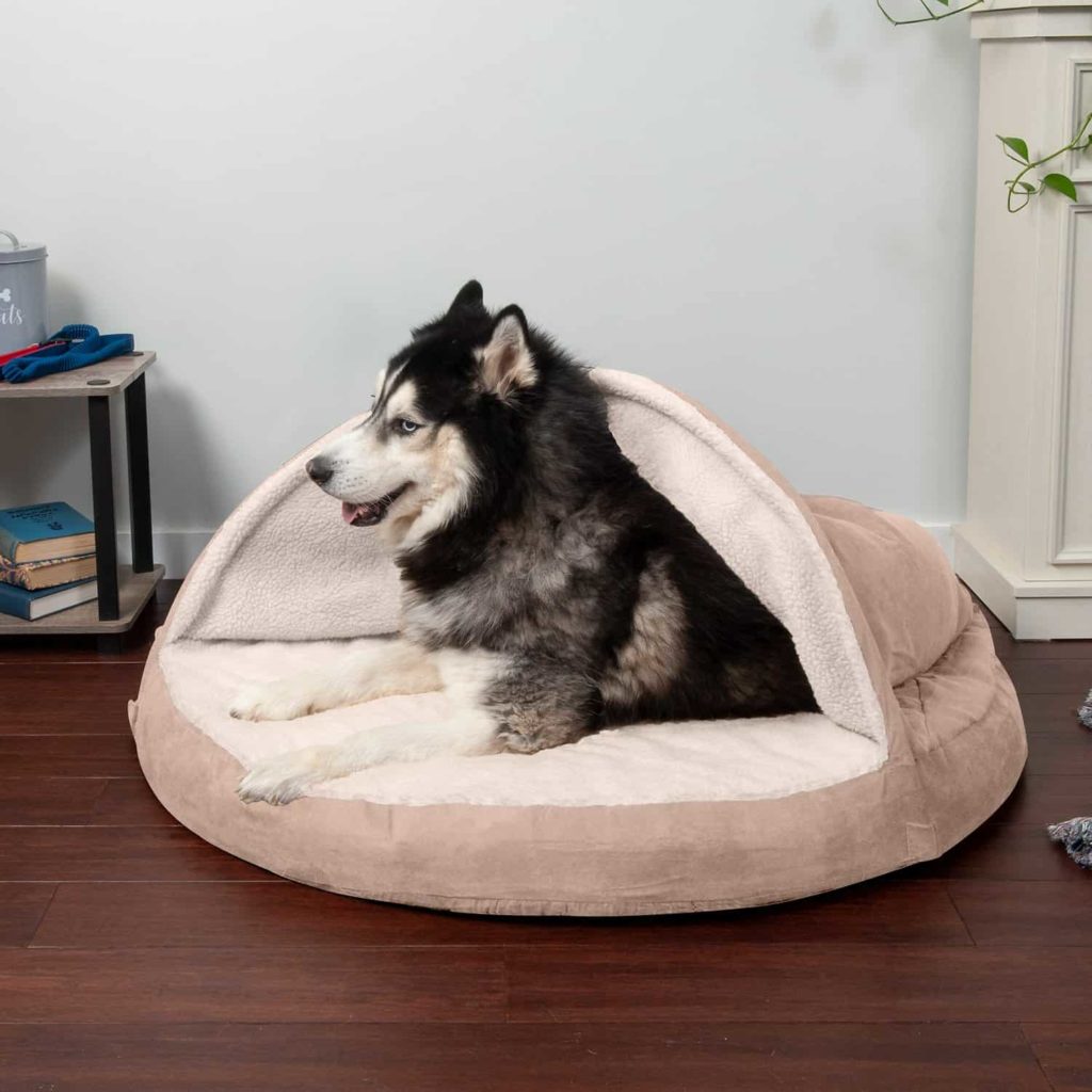 best dog bed for husky